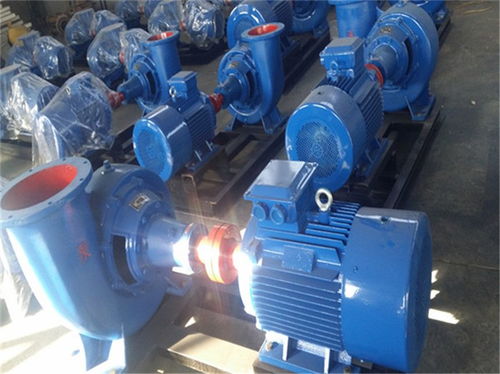 國營八一農(nóng)場排洪蝸殼式混流泵選型推薦廠家 程躍泵業(yè)
